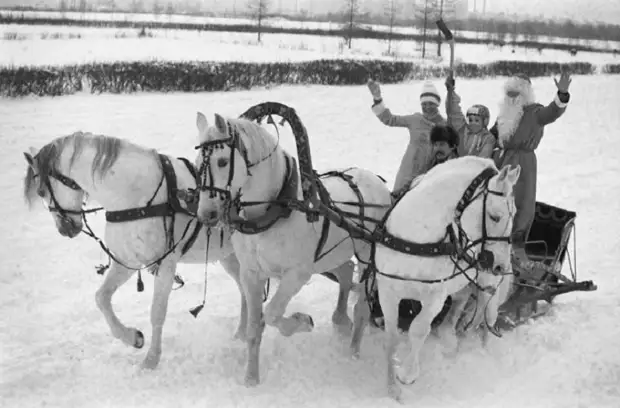 В звенящую снежную даль, три белых коня - декабрь, январь и февраль.