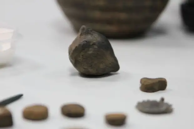 В Сибири нашли погремушку возрастом 5 тысяч лет