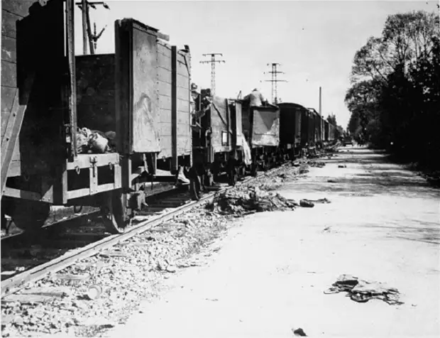 Поезд с телами остановился в только что освобожденном лагере.