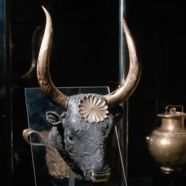 Голова быка с крутыми, красиво изогнутыми золотыми рогами и золотой звездой-розеткой во лбу.