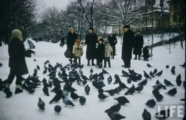 Фото маленьких москвичей начала 1960-х.
