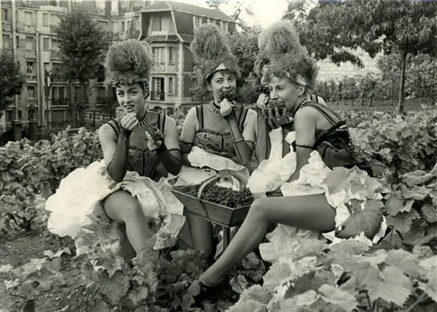 Пора-порадуемся красавице и кубку: колоритные ретро-снимки танцовщиц из Мулен Ружа на фестивале вина