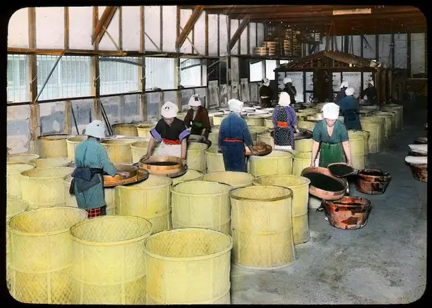 Производство чая, в Японии, в начале XX-го века
