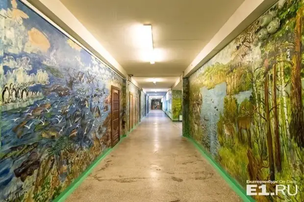Сторож превратил школьные стены в картинную галерею