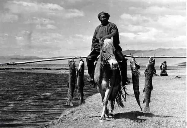 Как рыбачили в Западной Монголии.