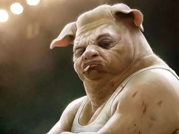 Человек произошел от свиньи. Мифы об эволюции человека