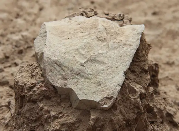 Главные находки и открытия археологов в 2015 году
