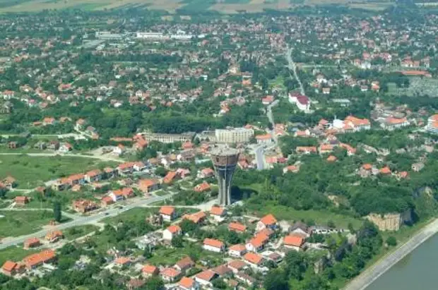 Vukovar_bird_fly.jpg