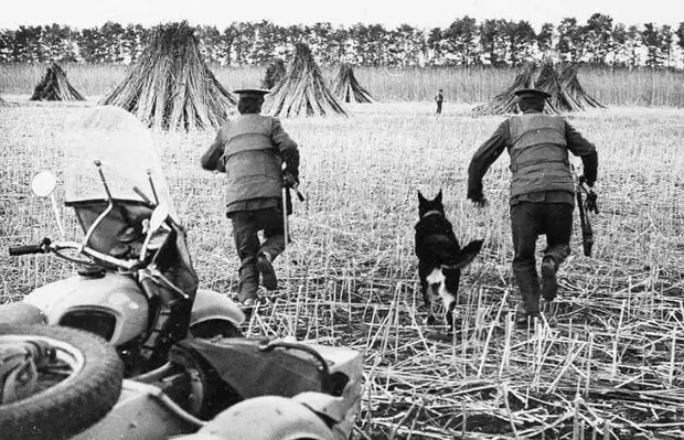 Советская милиция против наркомафии. 1950-е годы.