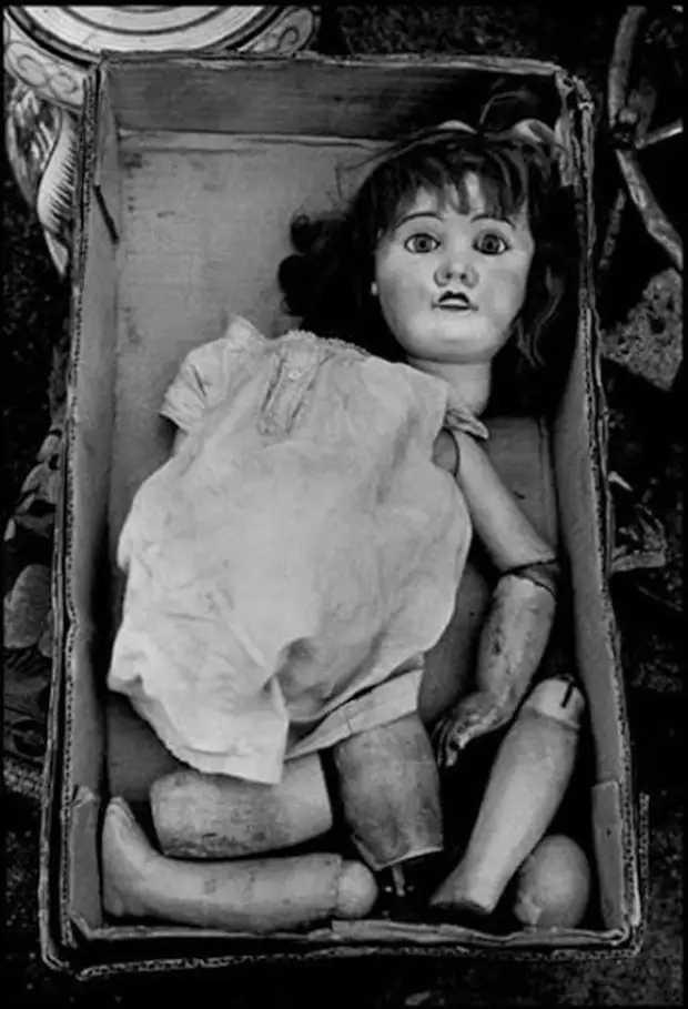 Рассыпавшаяся на куски кукла.