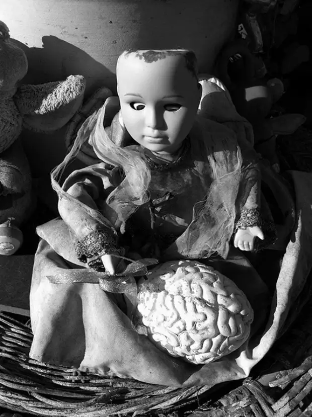 Кукла с мозгом.