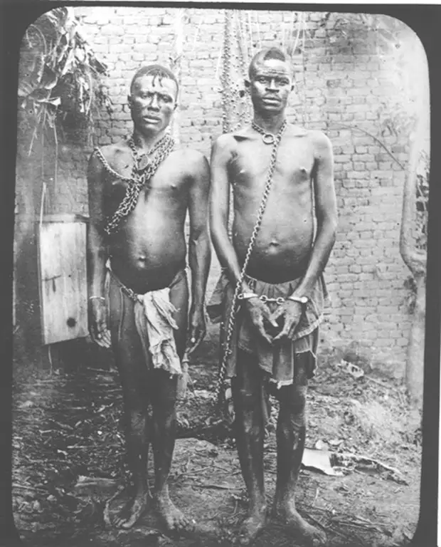 Бельгийское Конго и бельгийский геноцид туземцев