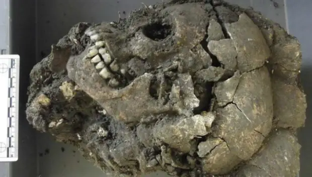В Китае найдены 68 черепов с "третьим глазом"