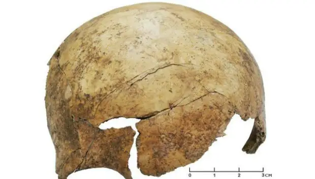 Археологи обнаружили следы доисторического массового убийства