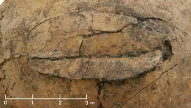 Археологи обнаружили следы доисторического массового убийства