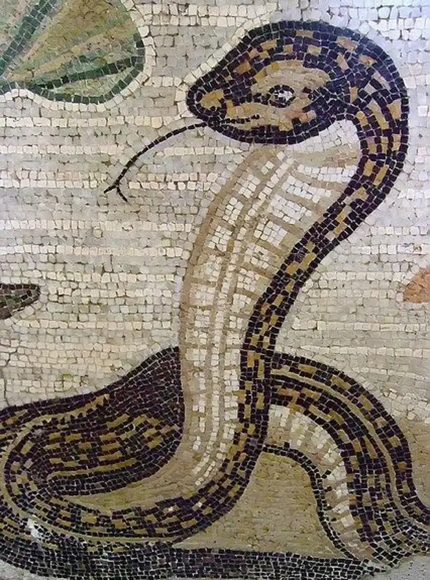 Античное искусство: мозаики Помпей и Геркуланума с изображением животных.