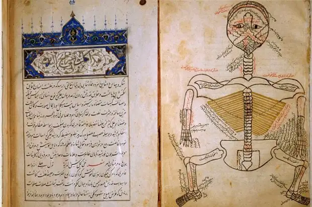 Первая книга о строении человеческого тела, опубликованная в исламском мире.