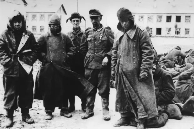 14-я танковая дивизия вермахта в плену. 1943 - 49 г.