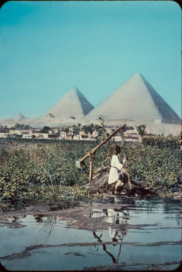 Гиза. Пирамиды. 1950