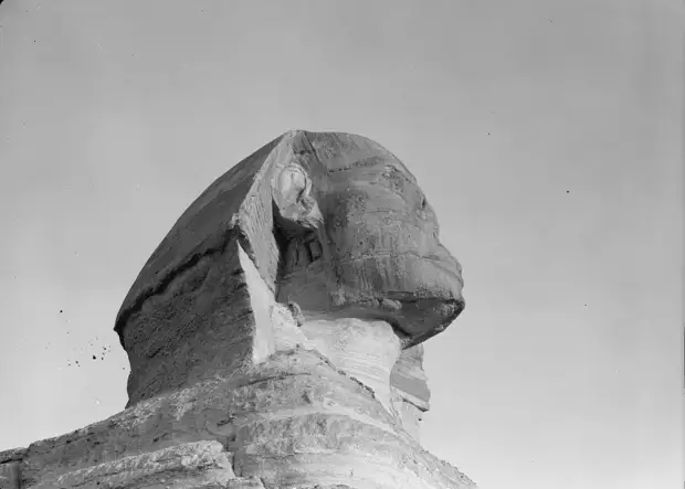 Раскопки Альфреда Моуда. Гиза. Сфинкс и пирамиды. Голова сфинкса (крупный план). 1934