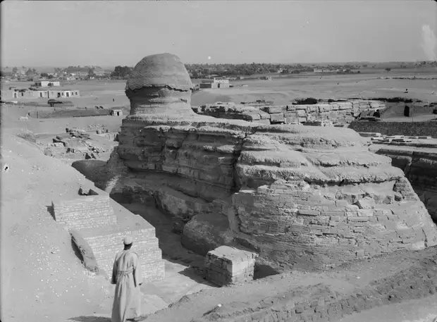 Раскопки Альфреда Моуда. Гиза. Сфинкс и пирамиды. Сфинкс (вид сзади). 1934