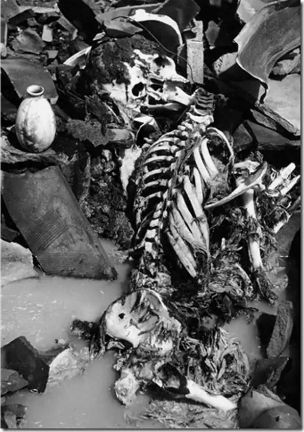 Скелетированный труп