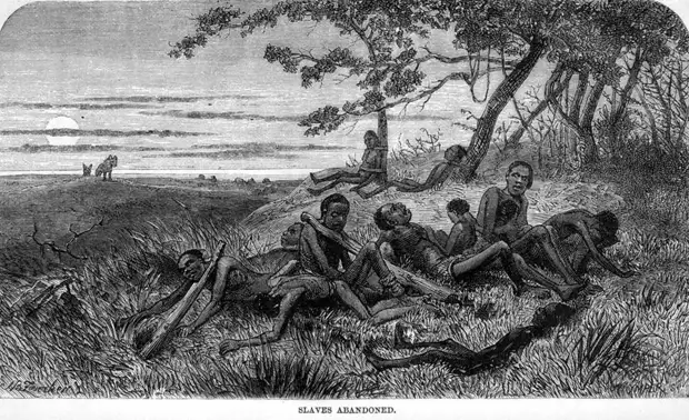 Группа ослабленных рабов, которые оказались брошенными работорговцами на съедение хищникам (Центральная Африка, 1866 год)