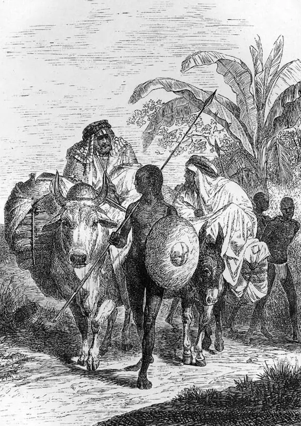 Арабские работорговцы и группа захваченных ими рабов (Судан, 1870 - 1871 годы)