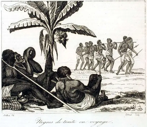Конвоирование рабов (Сенегал, начало 19 века)