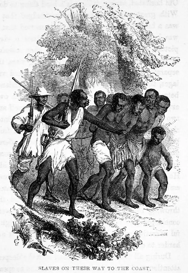 Захваченные рабы, пригнанные на побережье (Нигерия, 1853 год)