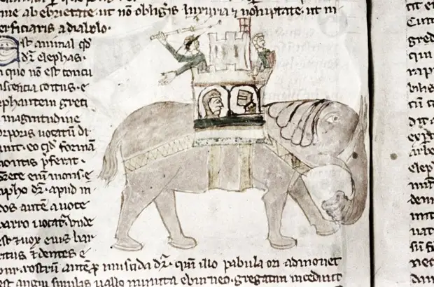 Средневековые бестиарии:  Рукопись Бодлеянской библиотеки