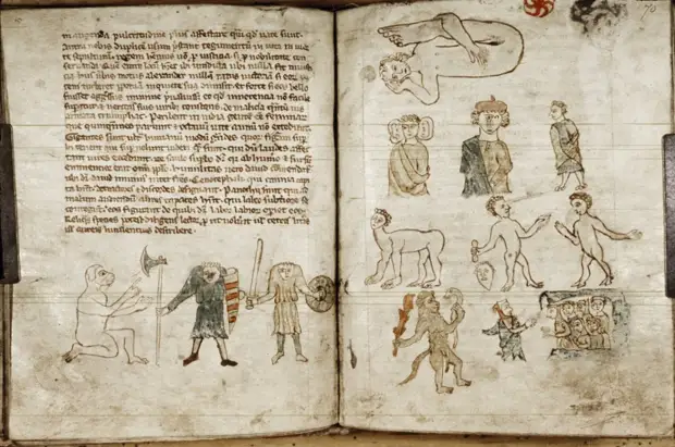 Средневековые бестиарии:  Рукопись Бодлеянской библиотеки