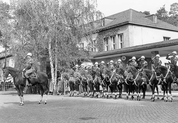 Horse Platoon 1955 saluting