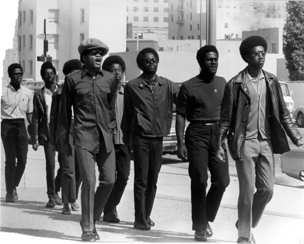Социальные конфронтации в США 1960-х - 1970-х годов: Леворадикальная Партия черных пантер   (3)