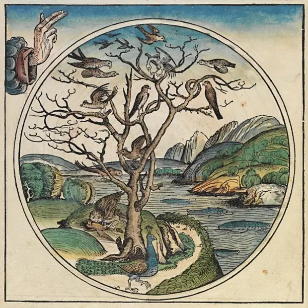 Шесть дней творения мира из Нюрнбергской хроники (1493 г)