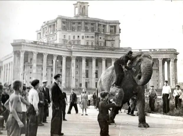 Уголок Дурова в 1953 году