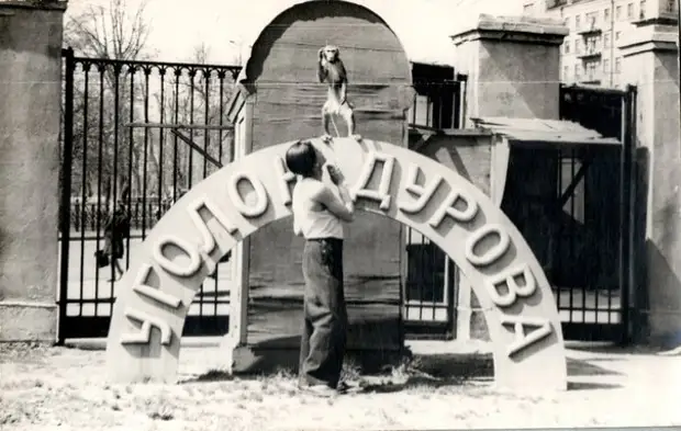 Уголок Дурова в 1953 году