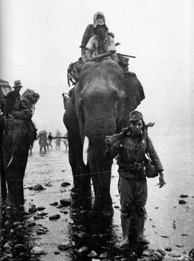 Японские солдаты во второй мировой войне.