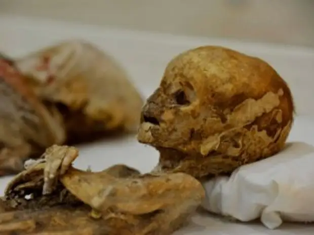 В Турции обнаружены уникальные мумии