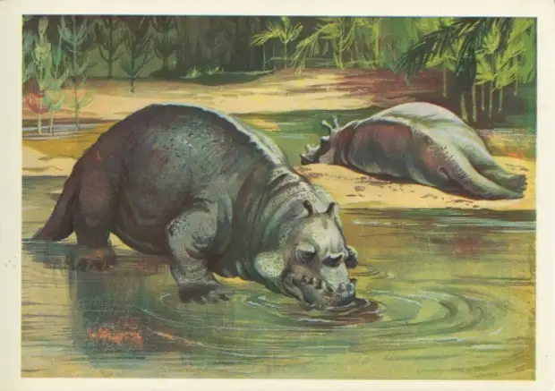 Сответские открытки.  Динозавры