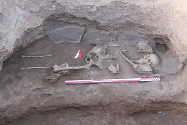 В Акмолинской области археологи нашли захоронение воина тюркского периода