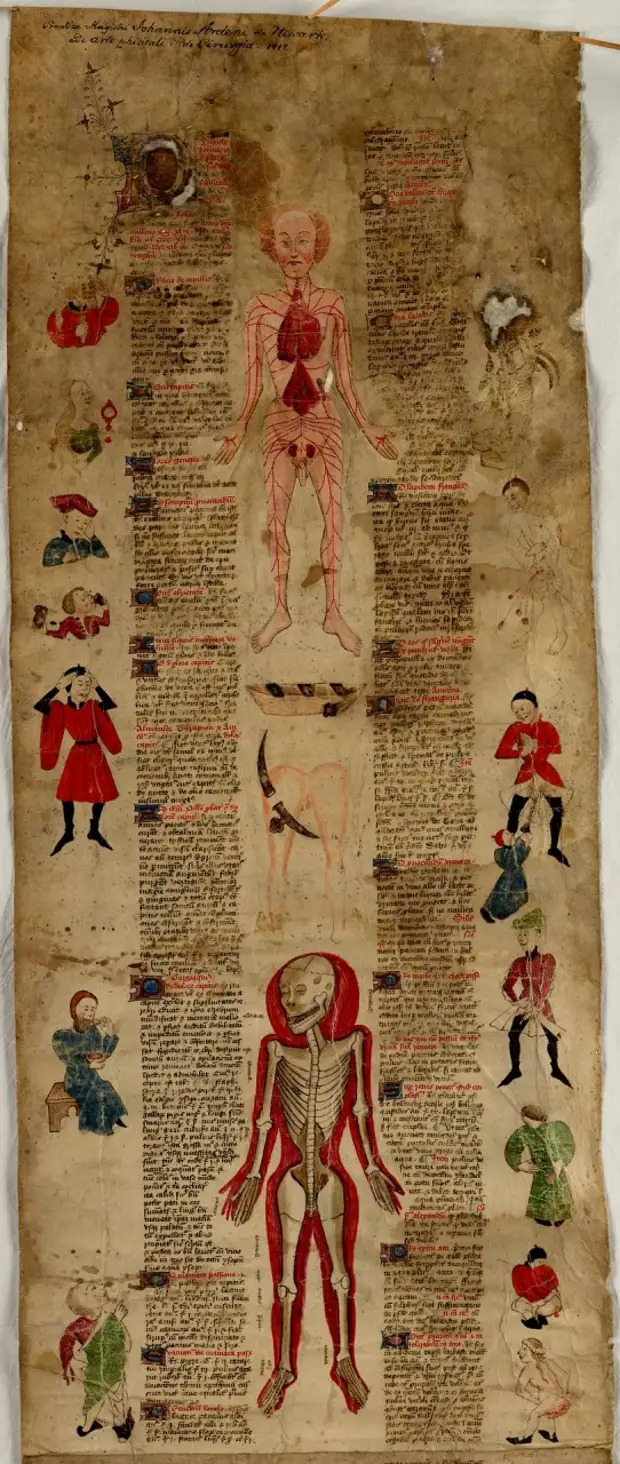 Рукопись «О физических искусствах и хирургии» 425-1435 г.